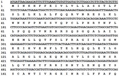 Isolation and characterization of the mink interferon-epsilon gene and its antiviral activity
